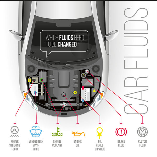 Why Is It Important to Check And Top Up Your Car’s Fluids Regularly? | TL Motors